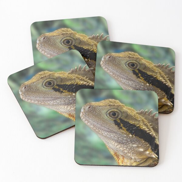 Item preview, Eastern Water Dragon, Physignathus lesueurii designed and sold by Travis Easton.