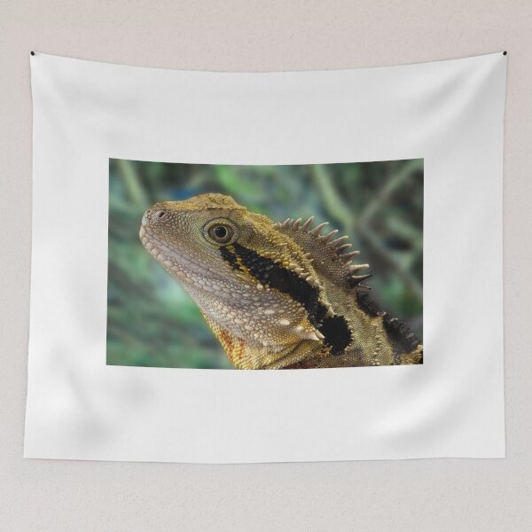 Item preview, Eastern Water Dragon, Physignathus lesueurii designed and sold by Travis Easton.