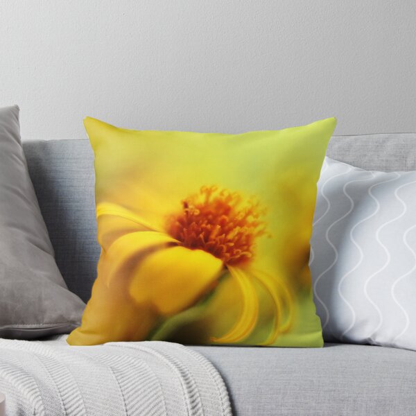Item preview, Brillo Solar designed and sold by Donna-R.