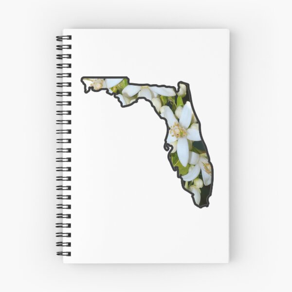 Artikelvorschau, Florida State Flower Gliederung entworfen und verkauft von Angie Smith.