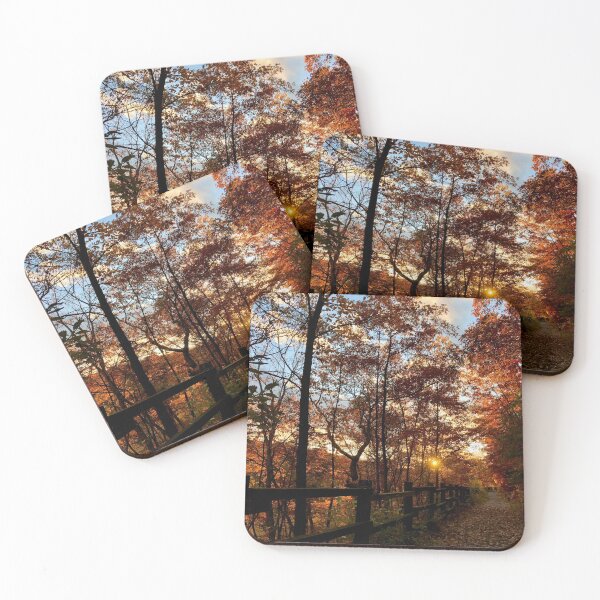 Item preview, Autumn Trail designed and sold by WhiteCatPhoto.