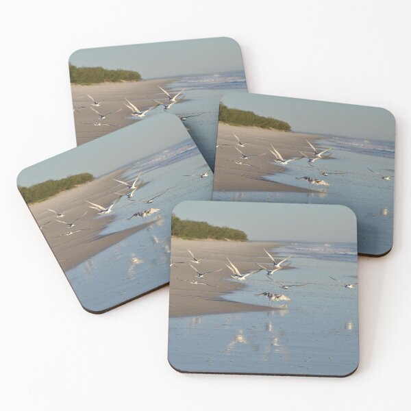 Item preview, Morning Flight - Bribie Island designed and sold by Barbara Burkhardt.