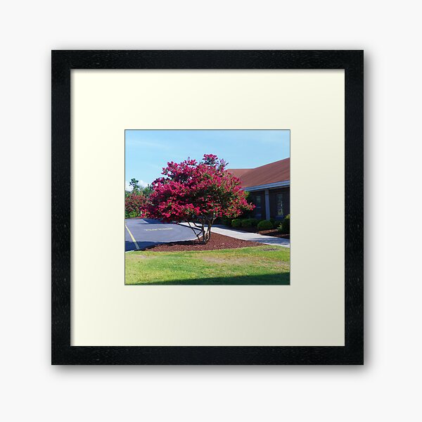 Item preview, Crepe Myrtle Tree designed and sold by Carolyn Ricks.