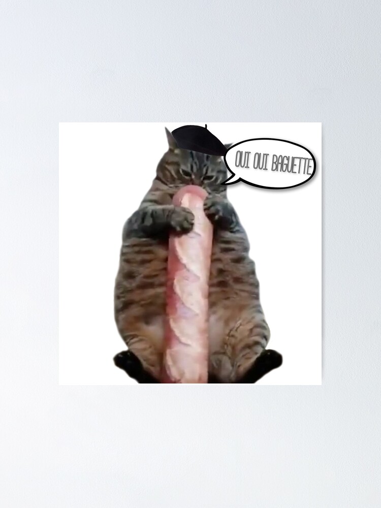 Baguette Cat Poster for Sale by paellax Redbubble