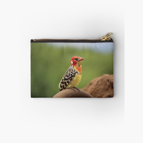 Aperçu de l'œuvre Photographie de barbet rouge et jaune créée et vendue par Ecodream.