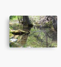 Reflections In A Forest Pond Metal Print