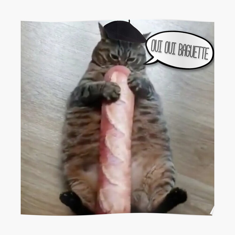 baguette baguette baguette cat