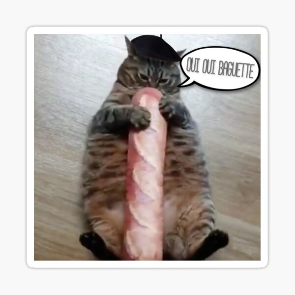 shock collar for staying in yard