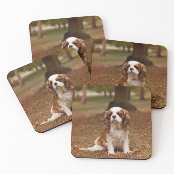 Item preview, Blenheim Girl designed and sold by Bevlea Ross.