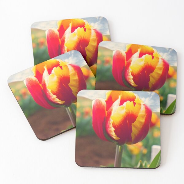 Aperçu de l'œuvre Tulip Time créée et vendue par Bevlea Ross.