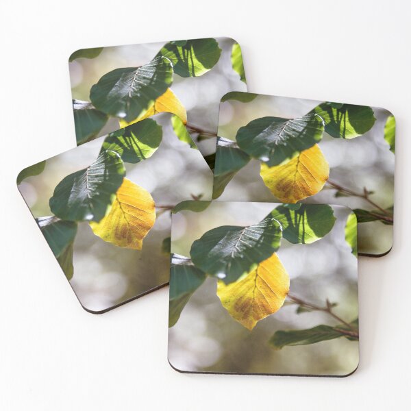 Item preview, Turning Colours designed and sold by Bevlea Ross.