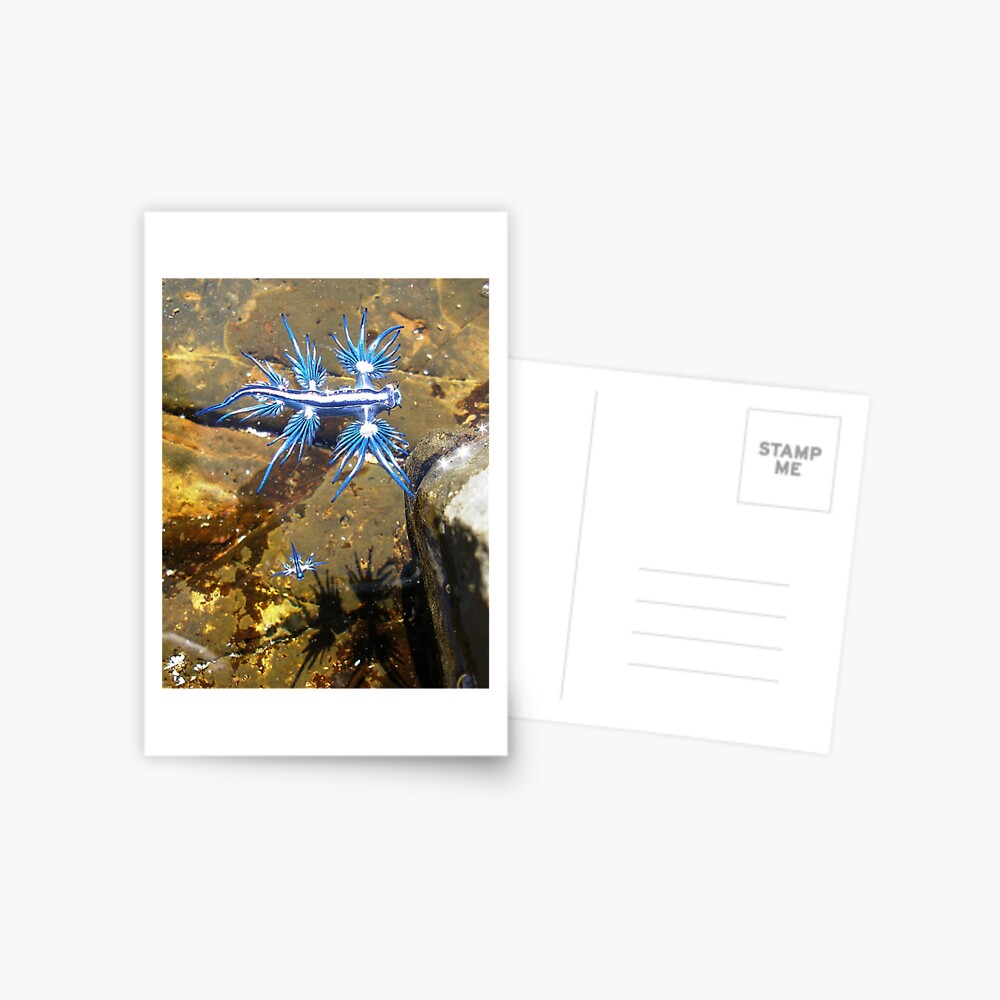 Get Die tatsache dass For iPhone