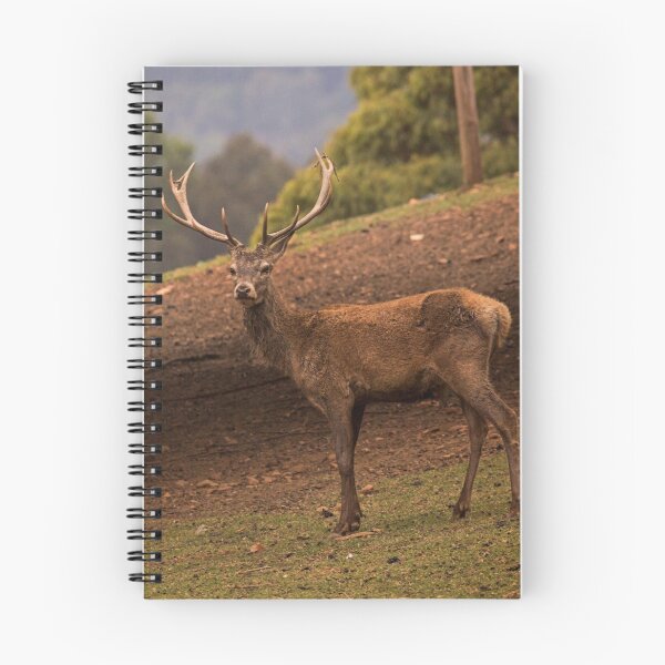 Item preview, The Stag designed and sold by Bevlea Ross.
