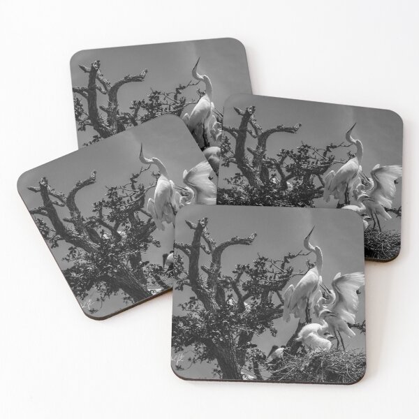 Item preview, Anastasia Island in St Augustine designed and sold by johnlackphotos.