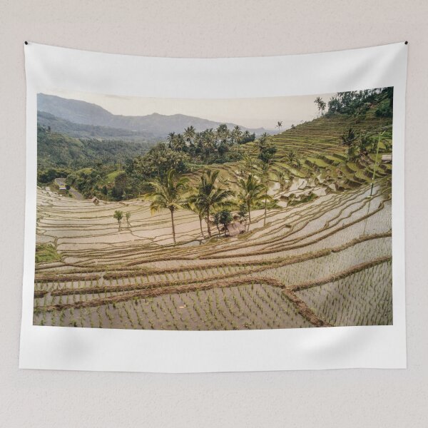 Item preview, Terraces designed and sold by Werner Padarin.