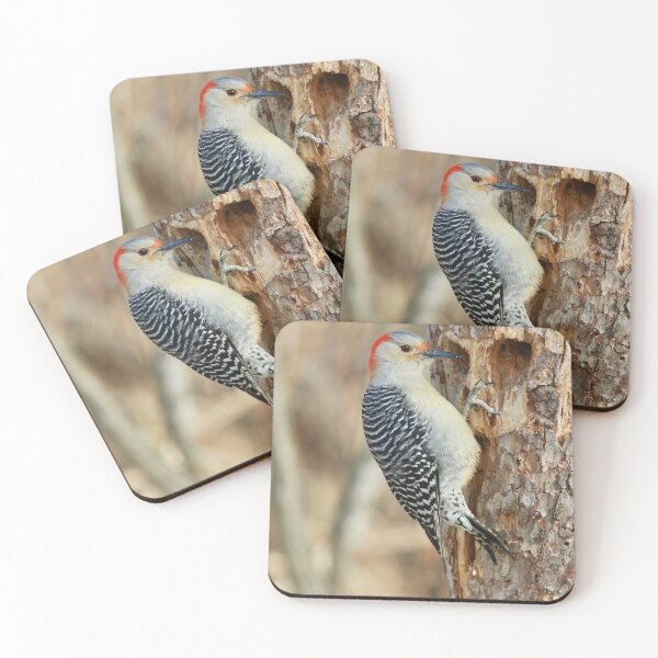 Item preview, Red Bellied Woodpecker  designed and sold by Chris Coates Photography.com.