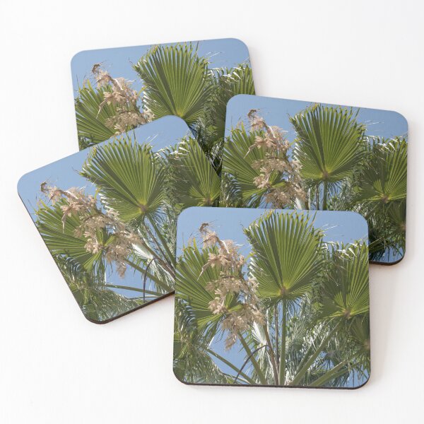 Item preview, Mexican Fan Palm Flowers designed and sold by Zina Stromberg.