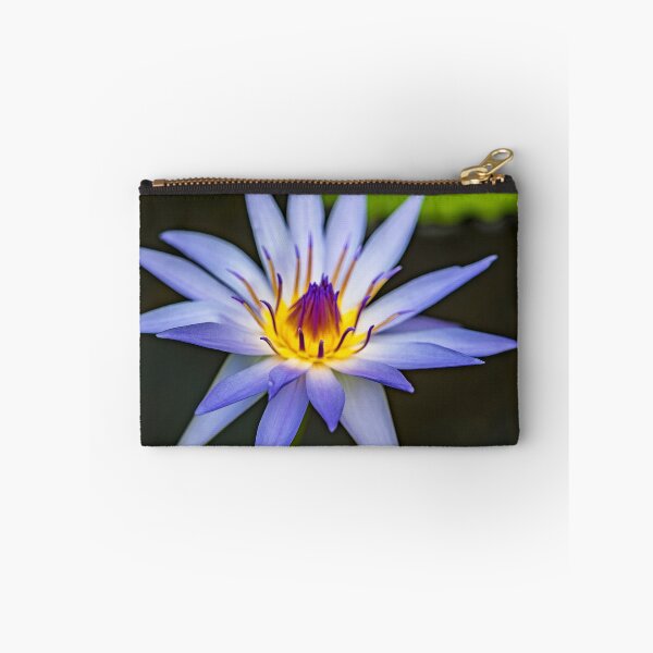 Aperçu de l'œuvre Lotus bleu créée et vendue par Bevlea Ross.