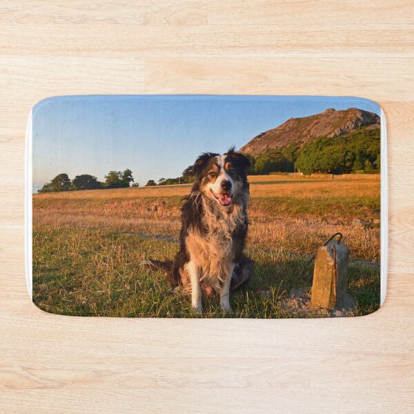 Item preview, Funtime for Laddie designed and sold by Michael Haslam.