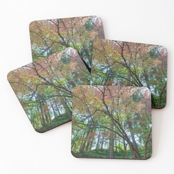 Item preview, Colorful Forest in Portland designed and sold by thatche2.