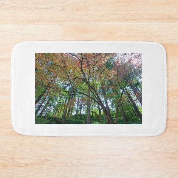 Item preview, Colorful Forest in Portland designed and sold by thatche2.