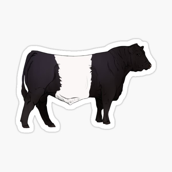 Item preview, Belted Galloway Bull designed and sold by mwinter2205.