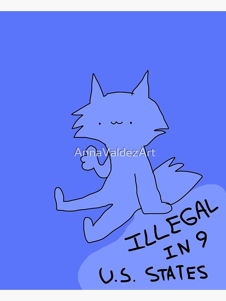 illegal-in-9-u-s-states-poster-for-sale-by-annavaldezart-redbubble