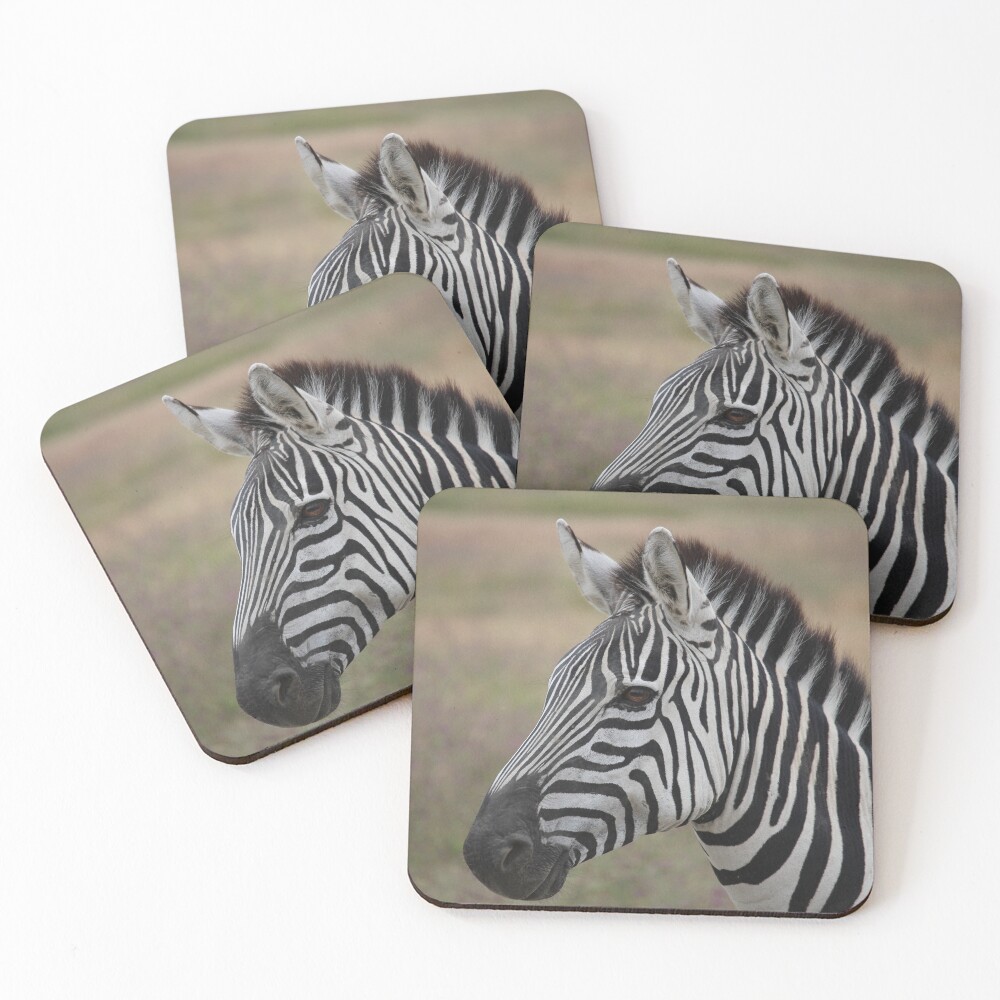 Item preview, Coasters (Set of 4) designed and sold by Ecodream.