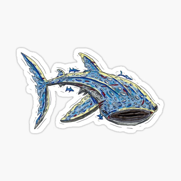 Whale Shark Sticker