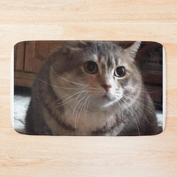 Item preview, Cat CHONK designed and sold by Rainfalling.