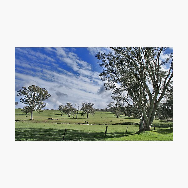 Item preview, Farmland designed and sold by stephentrepreneur.