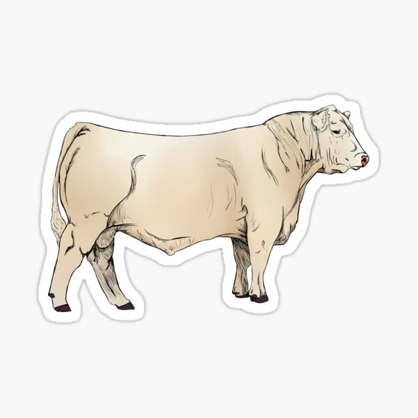 Item preview, Charolais Bull designed and sold by mwinter2205.