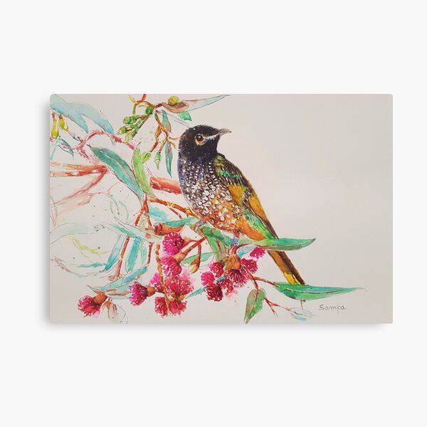 Item preview, Regent Honeyeater designed and sold by Sampa Bhakta.
