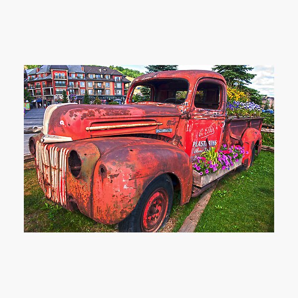Item preview, If You Can't Drive it Anymore-Turn it into a Planter designed and sold by Robin Webster.