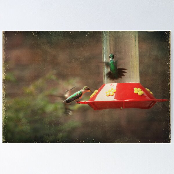 Item preview, Dinnertime designed and sold by Laurie Search Fine Art Photography.