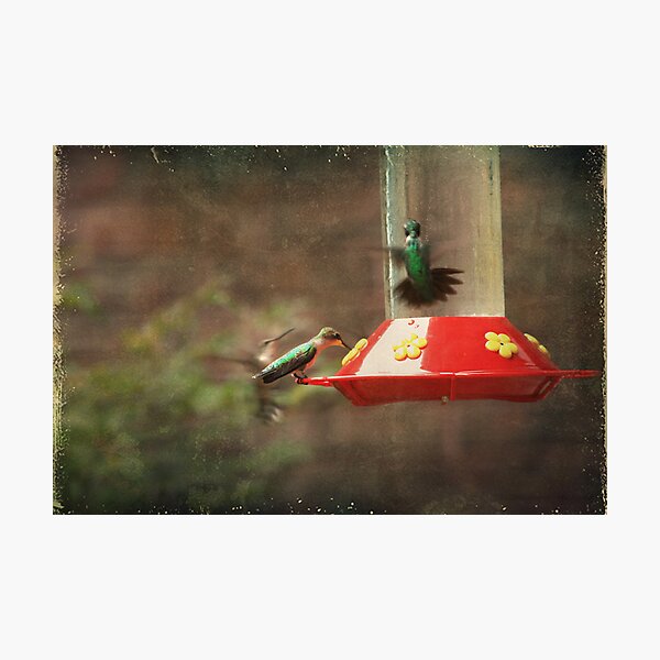 Item preview, Dinnertime designed and sold by Laurie Search Fine Art Photography.