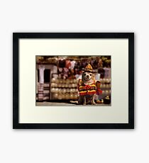 Chihuahua Bandito Framed Print