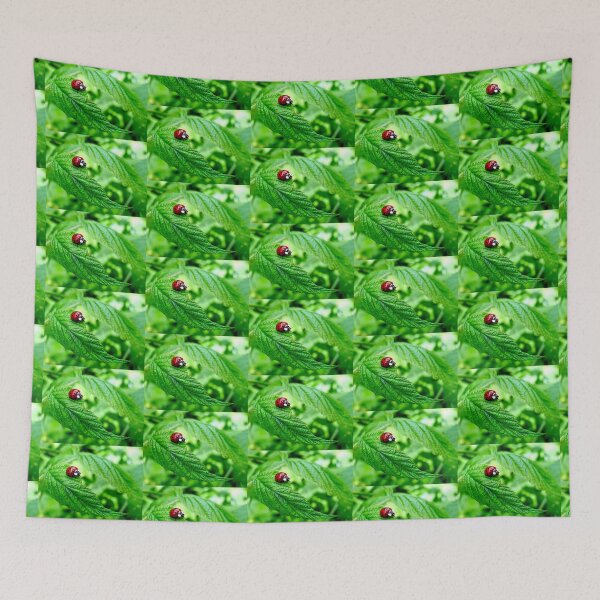 Item preview, Ladybug walking along curved leaf designed and sold by BBrightman.