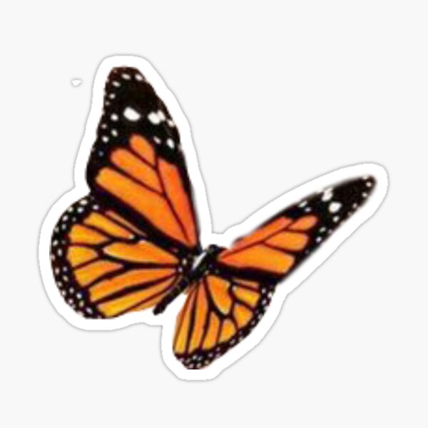 Monarch Butterfly Emoji Copy And Paste