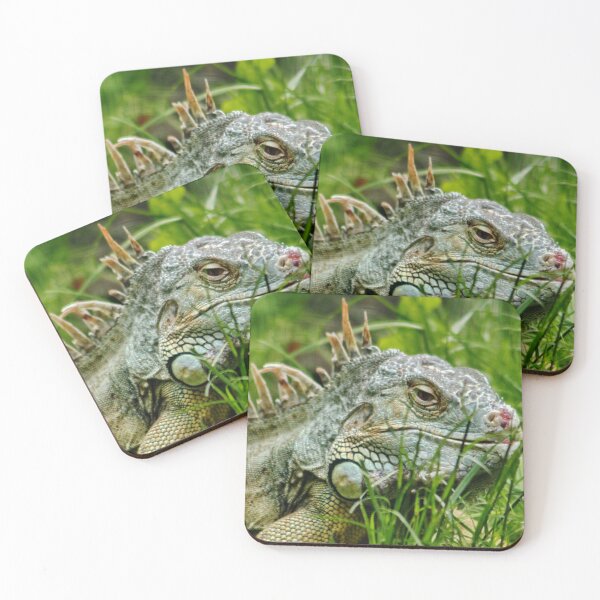 Item preview, Iggy the Iguana designed and sold by AnnDixon.