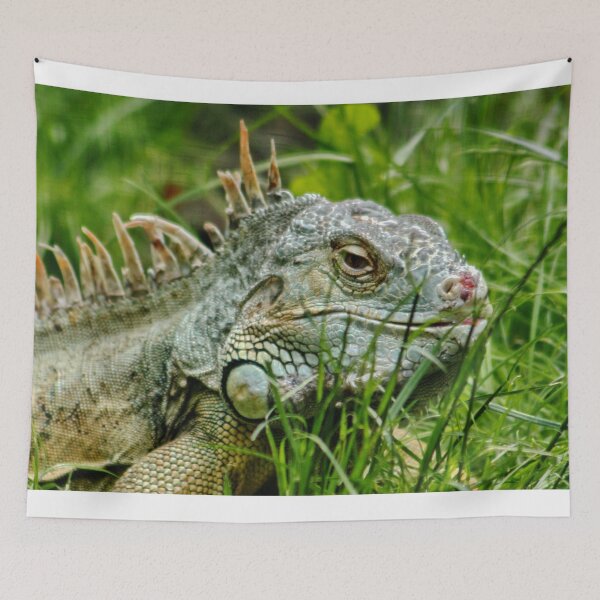 Item preview, Iggy the Iguana designed and sold by AnnDixon.