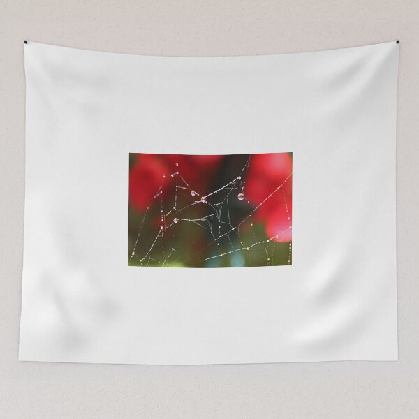 Item preview, Natures Decoration on Spider Web designed and sold by AnnDixon.