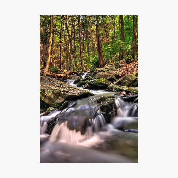 Bushkill Creek Photographic Print