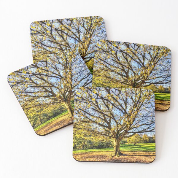 Item preview, The Autumn Tree designed and sold by Londonimages.