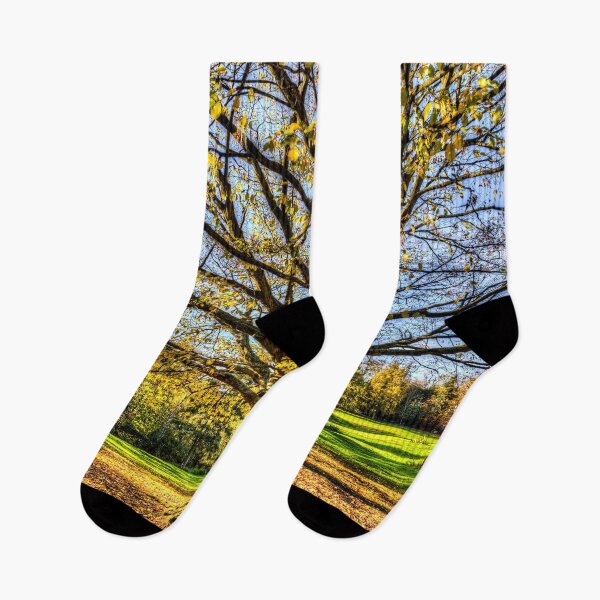 Item preview, The Autumn Tree designed and sold by Londonimages.