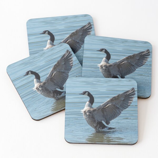 Item preview, Spread my Wings designed and sold by DonMc.