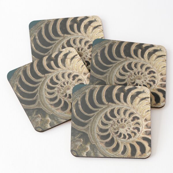 Item preview, Ammonoid. Sedgwick Museum of Earth Sciences. Cambridge, UK designed and sold by Igor Pozdnyakov.