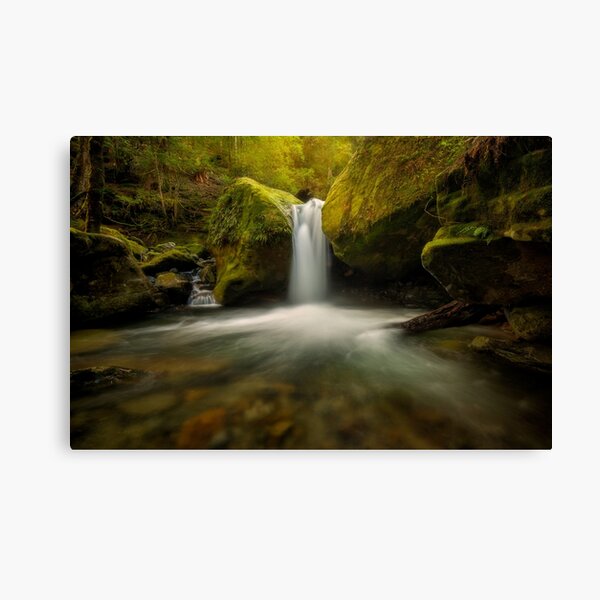 Lower Chasm Falls Canvas Print