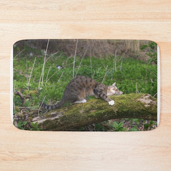 Item preview, Silly cat designed and sold by turniptowers.