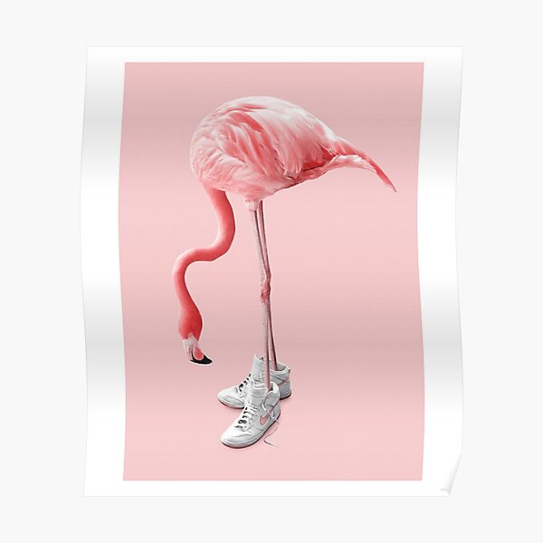 Albert Flamingo Wallpaper Aesthetic